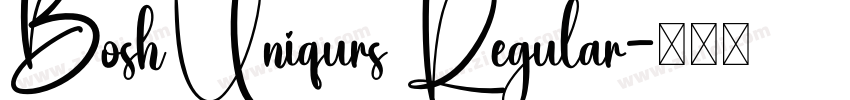 BoshUniqurs Regular字体转换